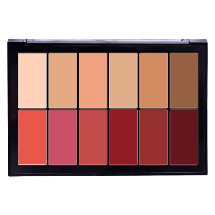 Future Makeup 12 Color Contour/Blush Cream Palette
