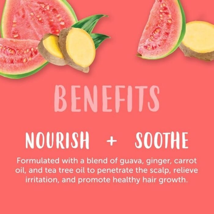 ⁦Cantu Guava Shampoo Scalp Relief 13.5 Ounce (400ml)⁩ - الصورة ⁦3⁩