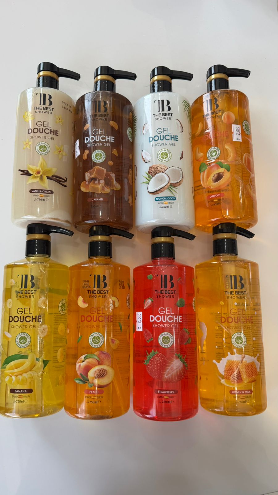 WhatsApp Image 2026-02-08 at 3.31.48 PM