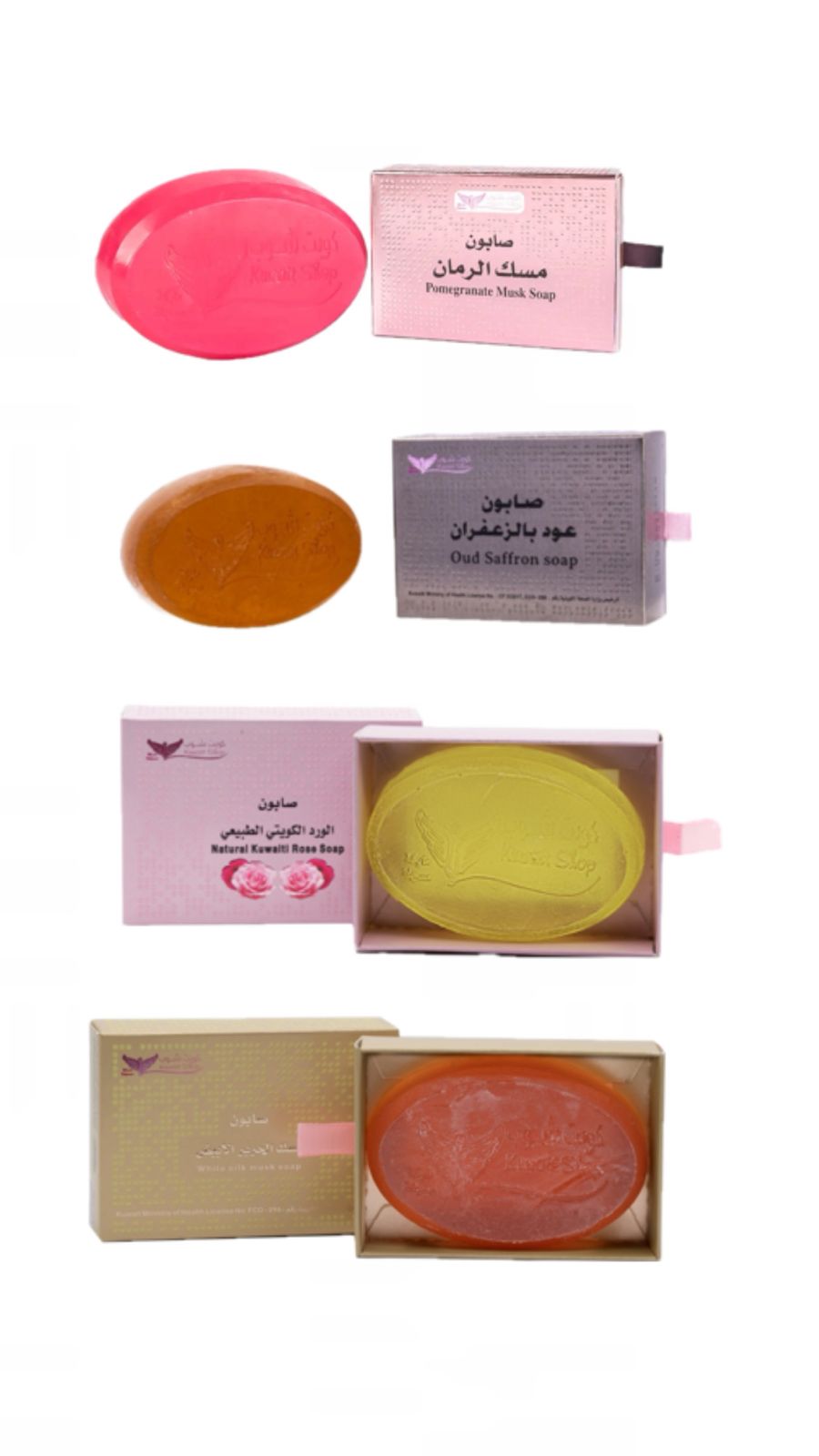 WhatsApp Image 2026-03-12 at 3.45.26 PM